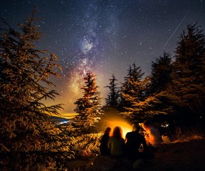 We’re not alone